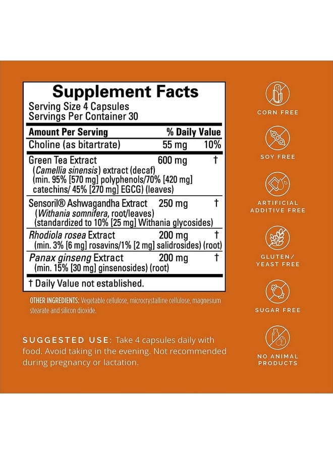 برينمد BRAINMD Dr Amen Focus & Energy - 120 كبسولة، عبوة من قطعتين - يعزز التركيز والانتباه - خالٍ من الكافيين والغلوتين - 60 جرعة إجمالية - Image 2