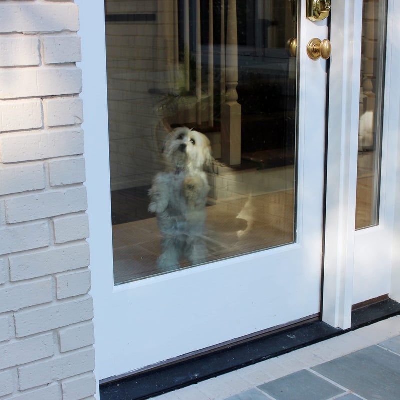 Cardinal Gates The Door Shield - Pet Scratch Protector - Image 3