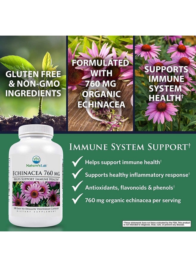 Nature's Lab إيكيناسيا 760Mg مكمل غذائي دعم قوي للجهاز المناعي طبيعي 100 كبسولة (50 يوم إمداد) خالي من المواد المعدلة وراثياً وخالي من الغلوتين - Image 4