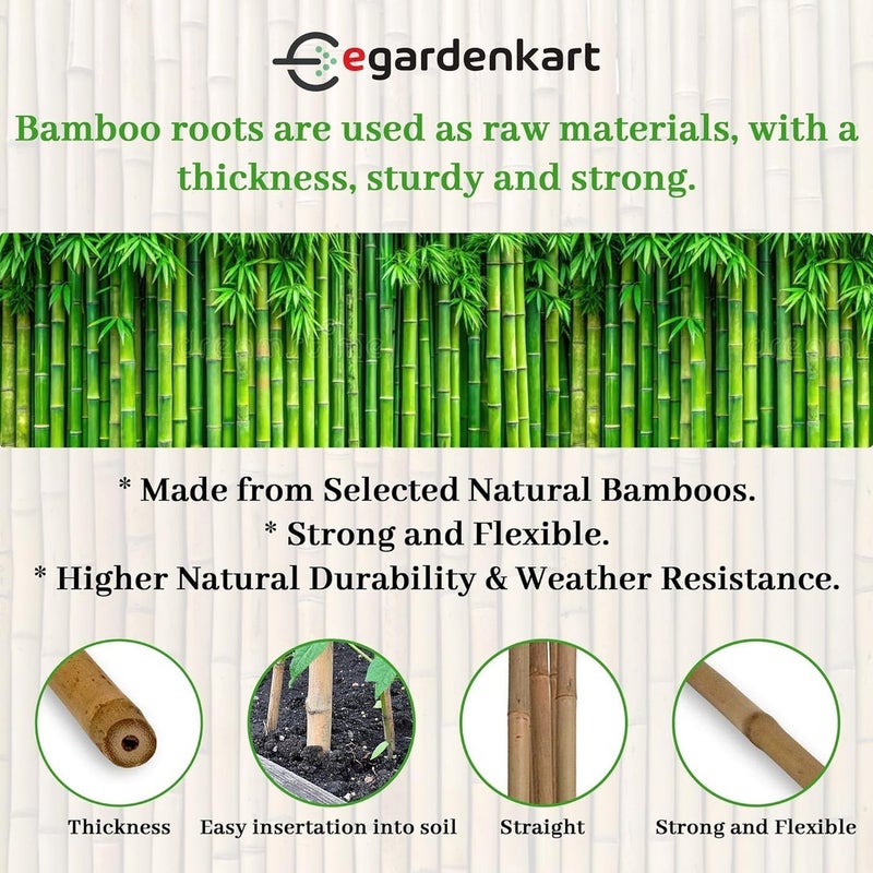 Egardenkart عصي البامبو من إي غاردن كارت للنباتات - 180 سم، 5 قطع | عصي حديقة لدعم قوي | عصي نبات طويلة لدعم النباتات (رفيعة، 5 قطع، 180 سم) - Image 3