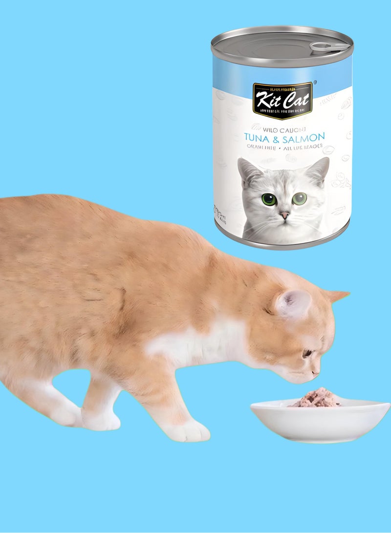 Kit Cat (24 packs) wet cat food with tuna and salmon flavor for small and large cats / 400 grams - Image 5