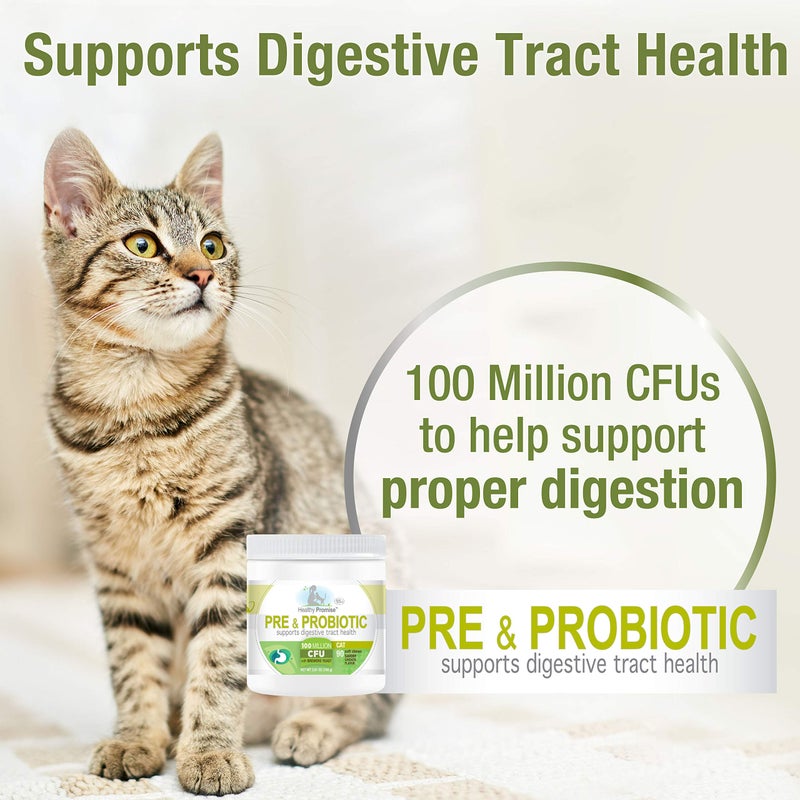 Four Paws Healthy Promise Pre and Probiotics for Cats Soft Chews 90 Count - Image 3