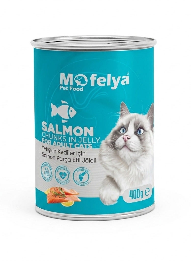 MOFELYA Adult Cat Wet Food with Salmon Chunks in Jelly 400g – Protein-Rich Wet Cat Food with Taurine - Image 1