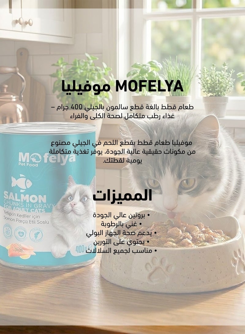 MOFELYA Adult Cat Wet Food with Salmon Chunks in Jelly 400g – Protein-Rich Wet Cat Food with Taurine - Image 3