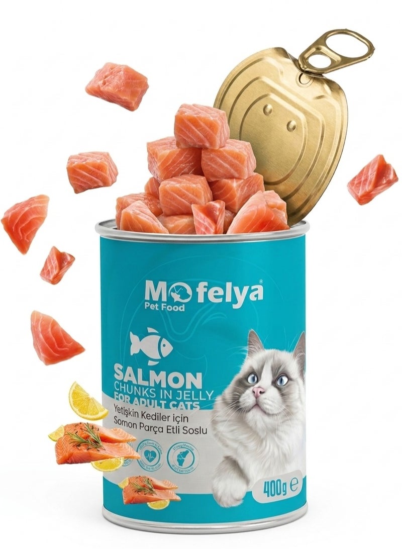 MOFELYA Adult Cat Wet Food with Salmon Chunks in Jelly 400g – Protein-Rich Wet Cat Food with Taurine - Image 4