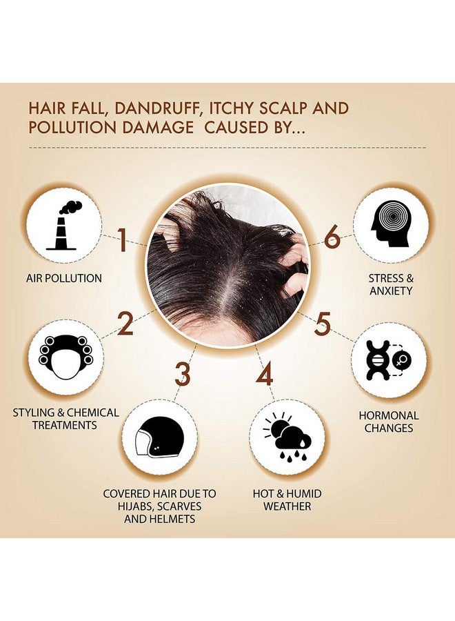 إيبا شامبو وبلسم وزيت للشعر من حبة البركة السوداء (230 مل + 125 مل + 240 مل) ل حبة البركة السوداء لعلاج تساقط الشعر والقشرة وحكة فروة الرأس | خالٍ من الكبريتات والبارابين | معتمد حلال ونباتي - Image 4