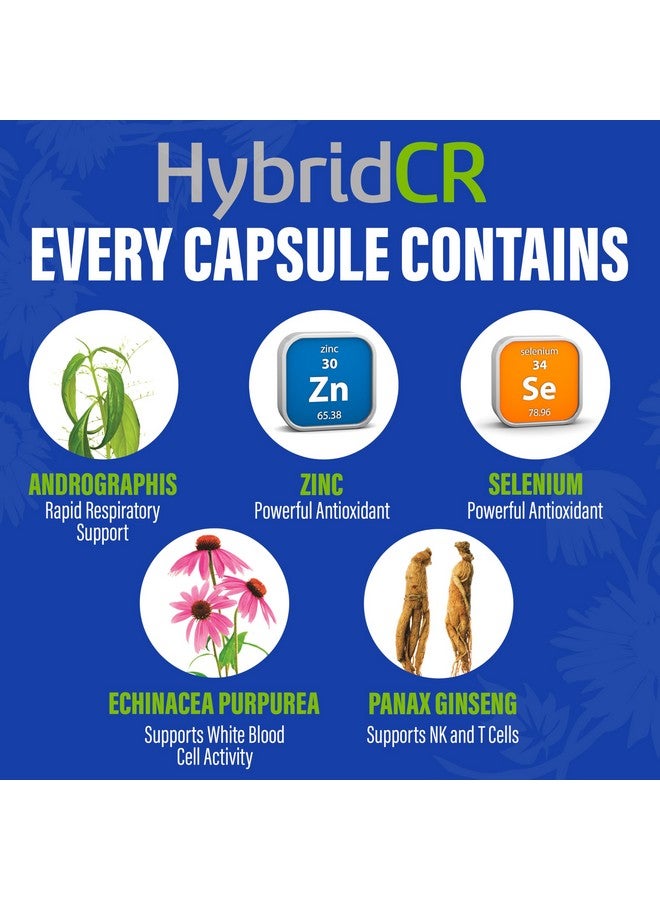 Hybrid مكمل دعم المناعة السريع HybridCR - مكمل المناعة لمدة 4 أيام - معزز دفاع المناعة مع الإخيناسيا، الجينسنغ، الأندروغرافس، الزنك، السيلينيوم - حجم السفر لدعم النظام - 24 كبسولة، 2 عبوات جرعة - Image 4