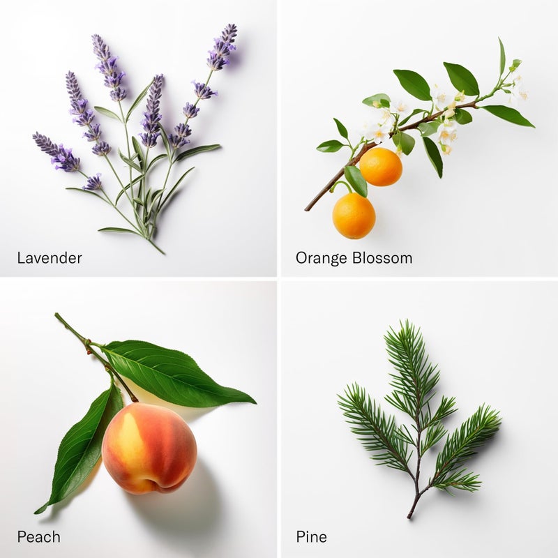 AromaTech Santal & The Hotel Set | Gift Set of Aroma Diffuser Essential Oils Blend of Santal Cardamom, Papyrus, Musk | The Hotel Peach, Red Rose, Pine - 10 Milliliter - Image 3