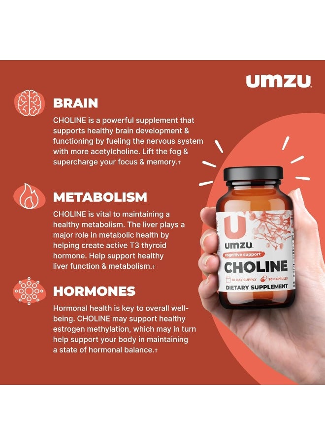 UMZU - Choline - Cognitive And Hormonal Supplement to Support Cognition, Nervous System Function, Healthy Hormonal Balance, and Metabolism - (30 Day Supply 90 Capsules) - Image 1