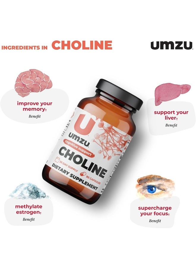 UMZU - Choline - Cognitive And Hormonal Supplement to Support Cognition, Nervous System Function, Healthy Hormonal Balance, and Metabolism - (30 Day Supply 90 Capsules) - Image 1