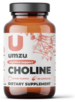 Choline - Cognitive And Hormonal Supplement to Support Cognition, Nervous System Function, Healthy Hormonal Balance, and Metabolism - (30 Day Supply 90 Capsules)