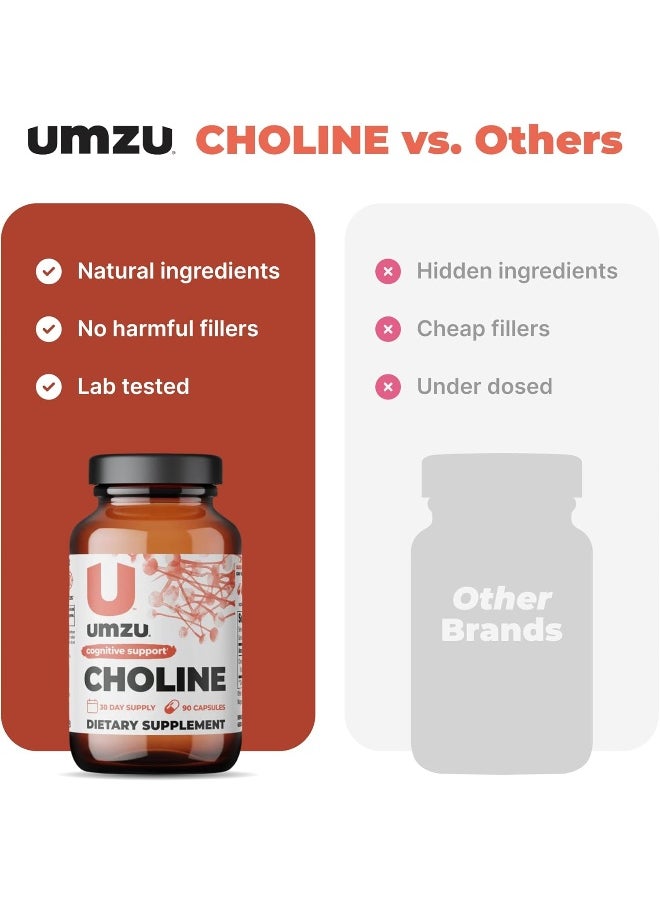 UMZU - Choline - Cognitive And Hormonal Supplement to Support Cognition, Nervous System Function, Healthy Hormonal Balance, and Metabolism - (30 Day Supply 90 Capsules) - Image 1