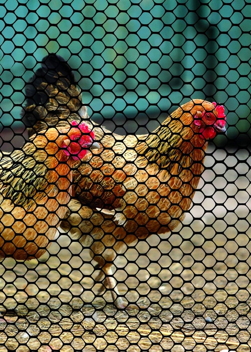 Tenax 72120546 Hex Poultry Fence 3 x 25 Black - Image 2