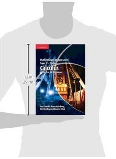 Mathematics Higher Level for the IB Diploma Option Topic 9 Calculus  - Image 4