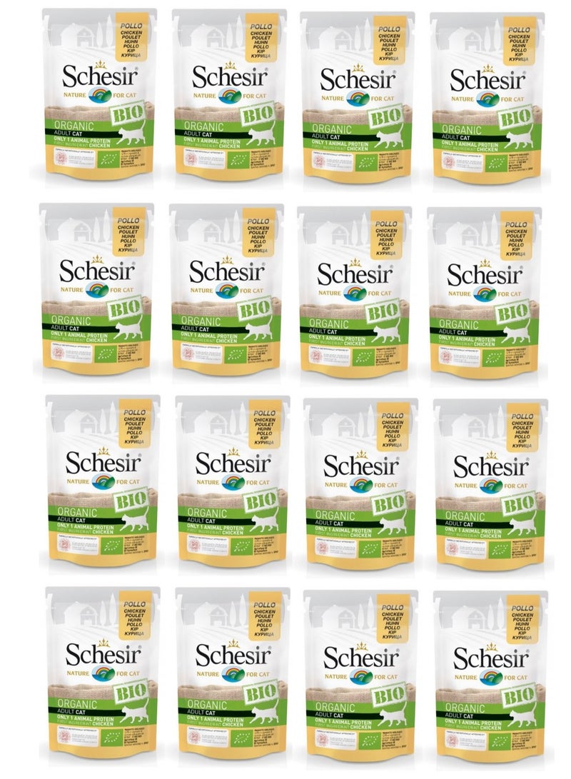 شيسر عبوة من 16 طعام رطب من بايو تشيكن للقطط 16 × 85 جم