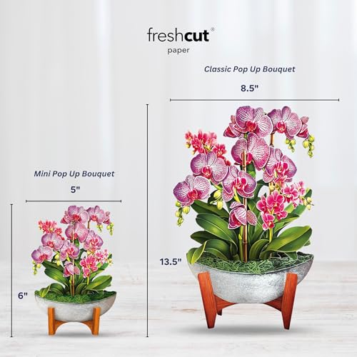 Freshcut Paper Pop Up Cards, Mini Orchid Oasis, 6 Inch Mini Sized Forever Flower Bouquet 3D Popup Greeting Cards, Birthday Card, Get Well Gifts, Blank Notecard & Envelope - Image 3
