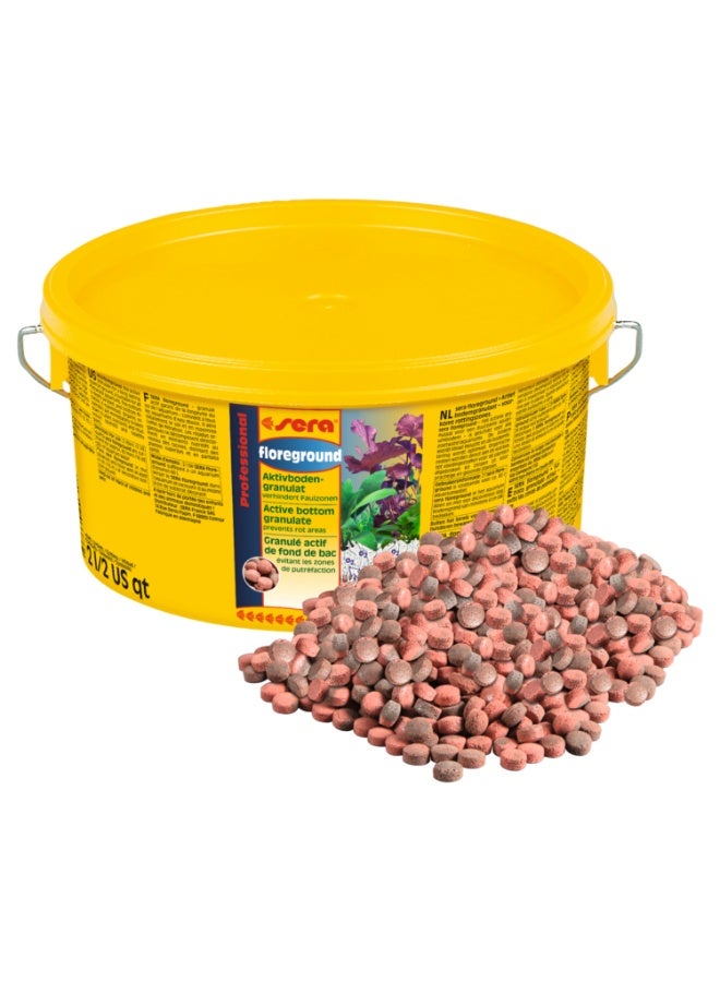 Sera Professional Floreground 2L