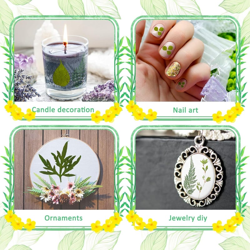 Timtin 84 Pieces Dried Pressed Leaves Flowers for Resin Mini Dried Flowers for Crafts Greenery Assorted for Art DIY Handmade Bookmarks 4 Bags(Classic Style) - Image 4