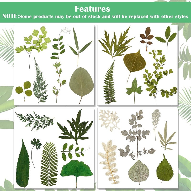 Timtin 84 Pieces Dried Pressed Leaves Flowers for Resin Mini Dried Flowers for Crafts Greenery Assorted for Art DIY Handmade Bookmarks 4 Bags(Classic Style) - Image 3