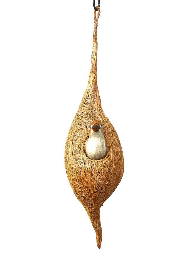 DealFry Handmade Hanging Bird Nest with Single Hole Made of Natural Coir Fiber Coconut Shell, Hanging Bird Nest for Cage and Balcony Birds Sparrows Finches Breeding (Brown | Small) - (Set-2) - Image 5
