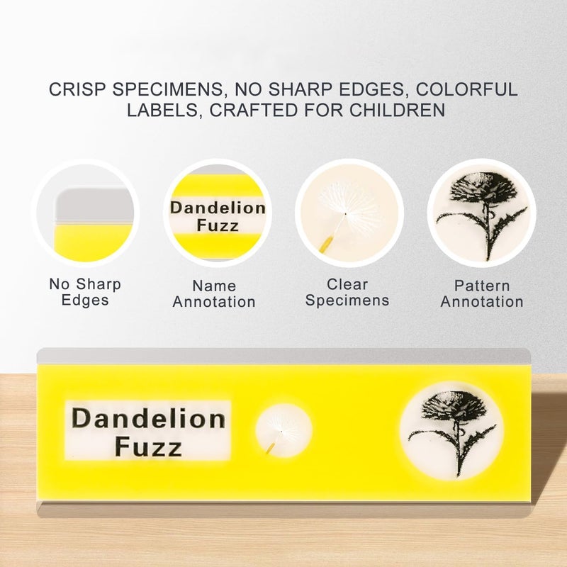 Jiusion 48Pcs Prepared Microscope Slides Specimen Animals Insects Plants Flowers Sample Biological Specimen, Stereo Microscope Slide for Children Students Light Education - Image 4