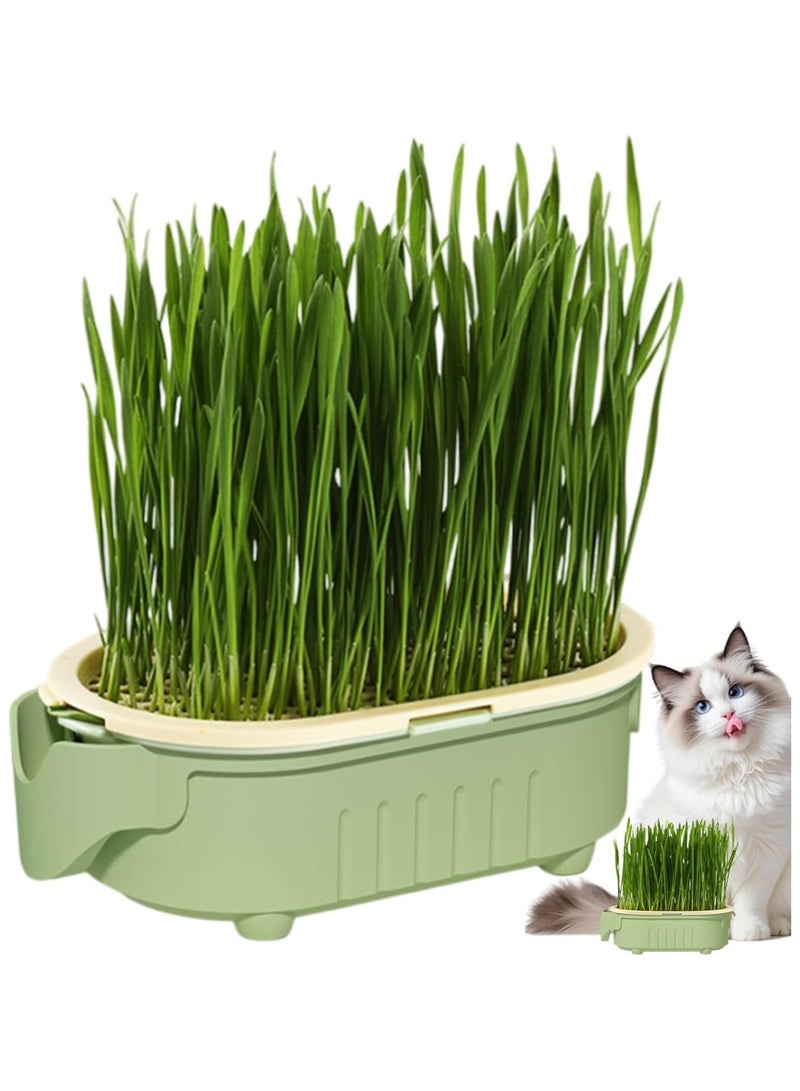NANAO Hydroponic Cat Grass Pot | Indoor Cat Grass Hydroponic Planting Pot - Beginners-Friendly Novelty Pet Snacks Soil-Less Watering Solution for Garden, Balcony - Image 1