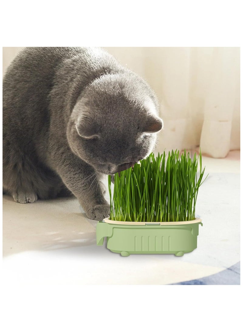 NANAO Hydroponic Cat Grass Pot | Indoor Cat Grass Hydroponic Planting Pot - Beginners-Friendly Novelty Pet Snacks Soil-Less Watering Solution for Garden, Balcony - Image 2