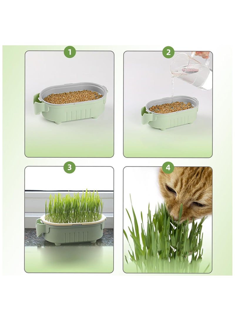 NANAO Hydroponic Cat Grass Pot | Indoor Cat Grass Hydroponic Planting Pot - Beginners-Friendly Novelty Pet Snacks Soil-Less Watering Solution for Garden, Balcony - Image 5