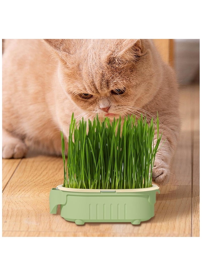 NANAO Hydroponic Cat Grass Pot | Indoor Cat Grass Hydroponic Planting Pot - Beginners-Friendly Novelty Pet Snacks Soil-Less Watering Solution for Garden, Balcony - Image 3