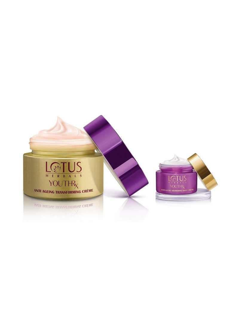 LOTUS HERBALS Lotus Herbals Night Cream For Hydrates, Nourishing (Normal Skin) 50g - Image 2