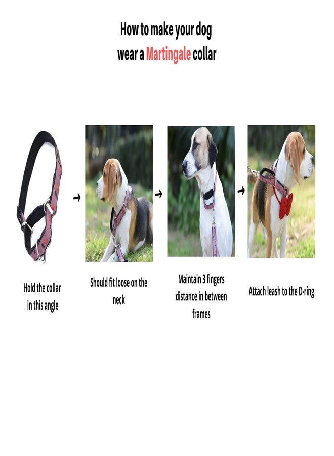 Mutt of Course Cola N Fries Martingale Dog Collar (Large) - Image 5