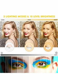 Excefore Video Conference Lighting Kit, 4" Ring Light for Laptop with Stand Clip, Remote Working, Distance Learning, Zoom Call Lighting, Self Broadcasting, Computer Conferencing  - Image 2