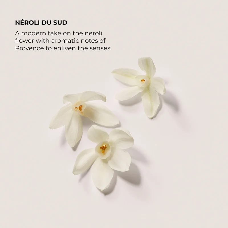 laura mercier Serum Body Cream Neroli Du Sud