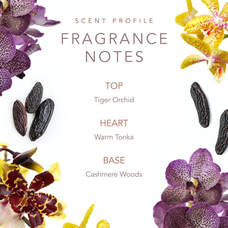 SCENT BEAUTY Dolly Parton Smoky Mountain Body Mist by Scent Beauty - Perfume for Women - Fruity, Floral and Feminine Fragrance with Notes of Tiger Orchid, Warm Tonka and Cashmere Woods - 8.0 Fl Oz - Image 4