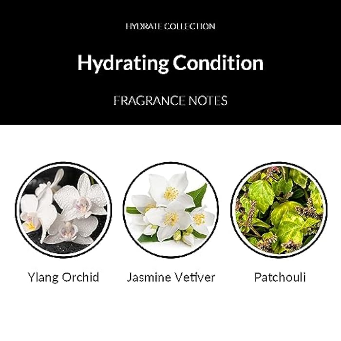 Number 4 Hydrating Hair Conditioner, Moisturizing Deep Conditioner for Dry, Damaged Hair, 8.5 oz - Image 5