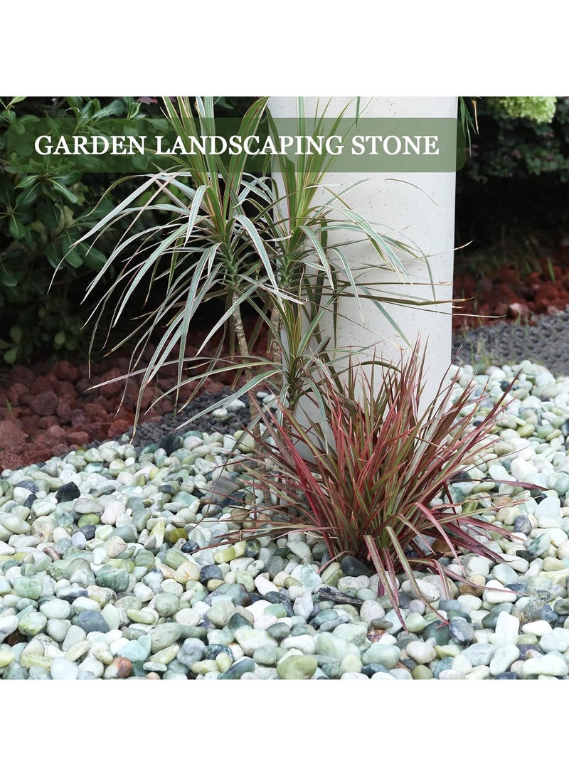 RR BRAND River Rocks Polished Pebbles for Plants Garden Decorative Jade Stones,  Ideal for Fish Tank, Vases, Crafting, Home Decor and Garden Landscaping Rocks,Jades – 1.5 kg – 1 to 3 cm  Smooth for Garden Aquarium Vases Crafts & Landscaping - Image 5