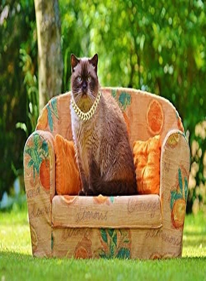Halukakah Cat Collar - Carat - Iced Out Diamond Cuban Link Gold Chain for Cats & Kittens - 18k Real Gold Plated 8" Collar Size - with Bell - for Decoration Only - Get Your Cat Catwalk Ready - Image 5