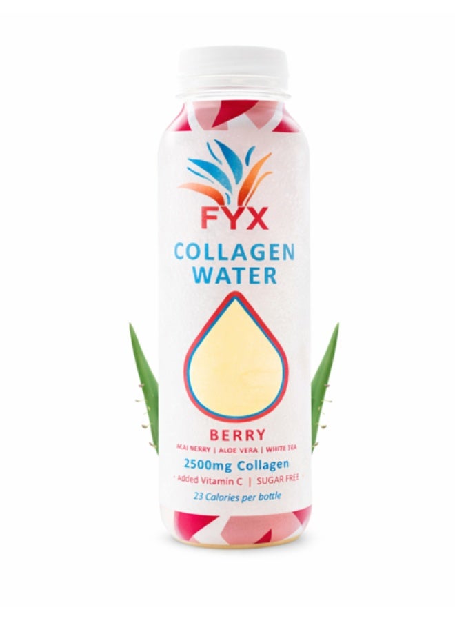 FYX Collagen Water Berry - Image 1