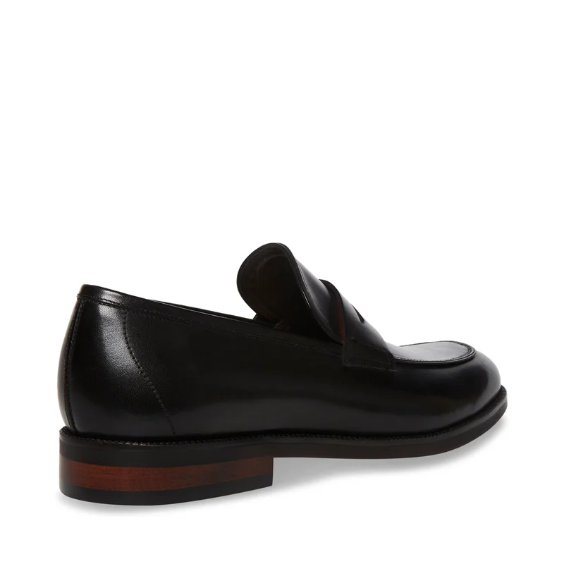 STEVE MADDEN  Pardito Leather Formal Shoes for Men | Best Price UAE
