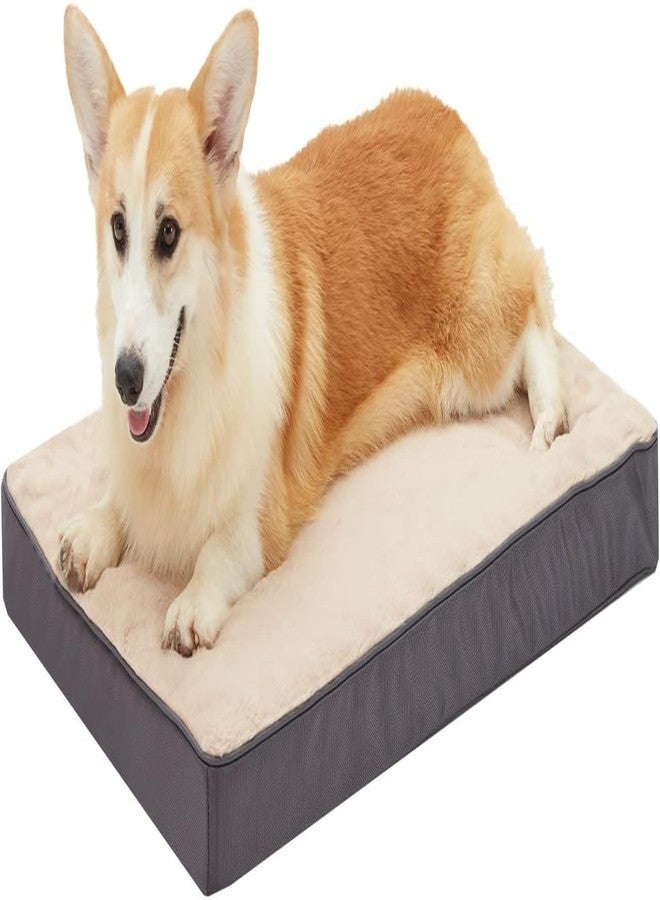 B. Dog Bed - Premium Comfort for Small, Medium, Large Dogs - Removable Washable Cover - Waterproof - Ideal for Puppies & Older Dogs - 30x20x3 in - Image 1