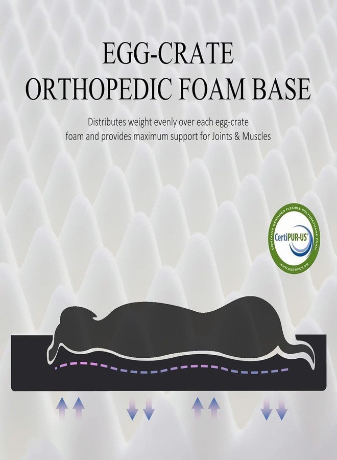 B. Dog Bed - Premium Comfort for Small, Medium, Large Dogs - Removable Washable Cover - Waterproof - Ideal for Puppies & Older Dogs - 30x20x3 in - Image 5