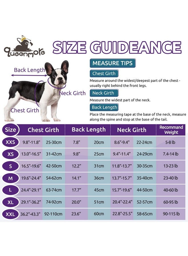 Queenmore Small Dog Sweaters, Soft Fleece Vest Pullover Dog Jacket with Leash Hole, Warm Winter Dog Clothes Cold Weather Doggy Dachshund Sweater for Small Dogs Cats Boy or Girl (Lavender, S) - Image 2