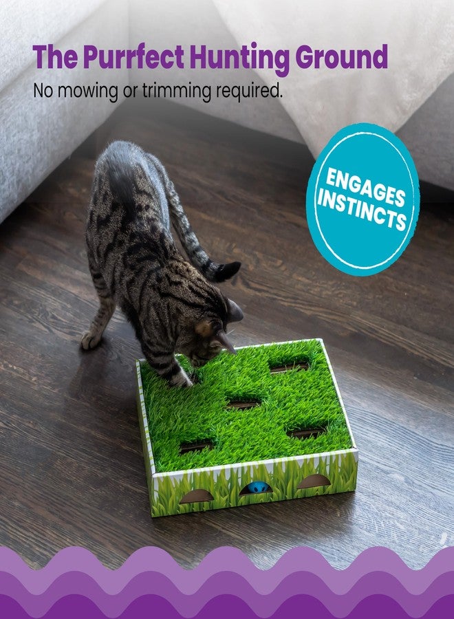 Catstages Grass Patch Hunting Box - Interactive Indoor Cat Toy with Faux Grass & 3 Jingle Balls - Encourages Exercise, Mental Stimulation & Natural Hunting Instincts - Image 4