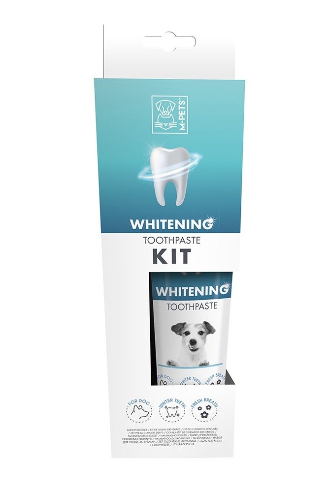 Whitening Toothpaste Kit