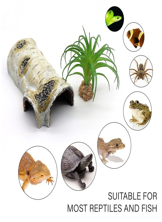relaqcc Reptile Hides and Caves Birch Tree Bark Trunk Habitats Decor Aquarium Decoration Wood for Lizard Geckos Snake Spiders Frogs Turtle (Medium) - Image 5