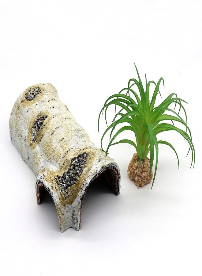 relaqcc Reptile Hides and Caves Birch Tree Bark Trunk Habitats Decor Aquarium Decoration Wood for Lizard Geckos Snake Spiders Frogs Turtle (Medium) - Image 1