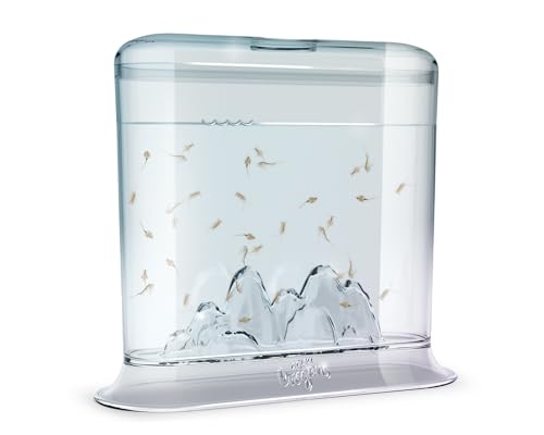 Animagic Aqua Dragons Hatch 'n' Grow Basic Tank | Build an Aquatic Ecosystem, Watch Prehistoric Pets Hatch & Grow Science Kit | Ages 6+ - Image 2