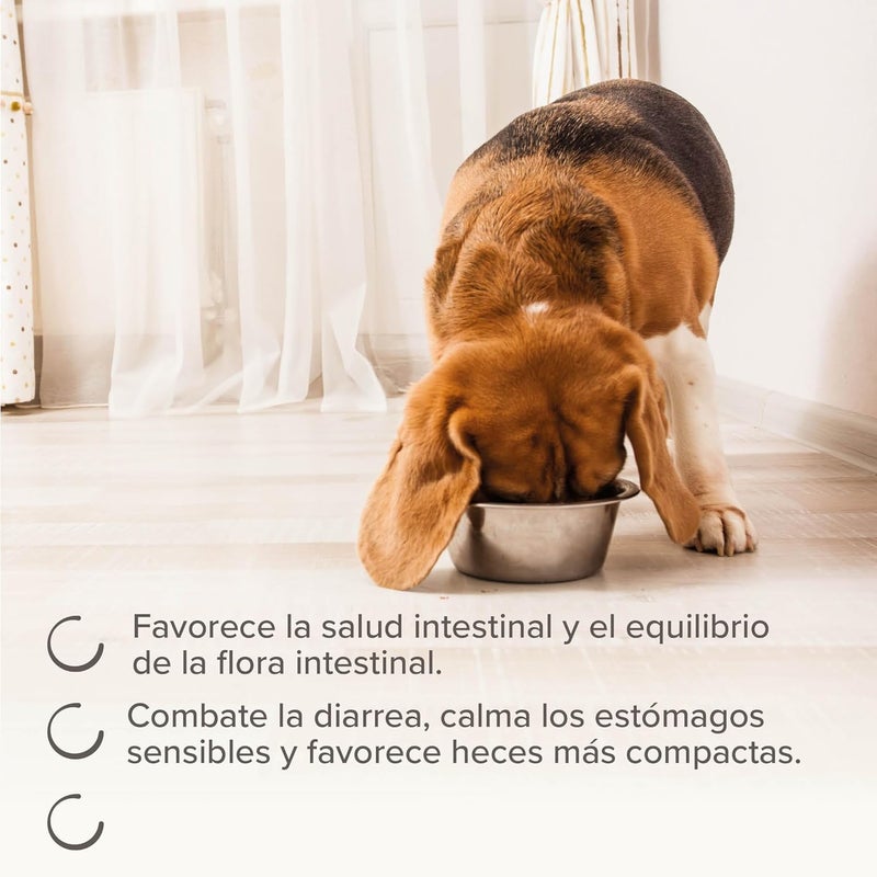 Beaphar IntestoPro Anti Diarrhea Paste for Large Dogs (2x20ml)l - Image 5