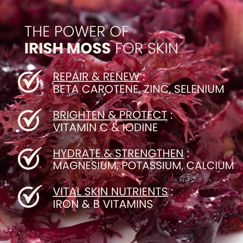 Ahimsa Irish Moss Body Wash for Glowing Hydrated Skin YogaInspired Refreshing Spearmint Ginger AntioxidantRich Vegan SulfateFree Gentle EcoFriendly Sustainable 10oz - Image 4
