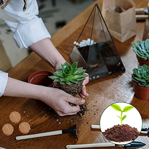 ZeeDix Coco Coir Potting Soil, 50pcs 30mm Compressed Coconut Fiber Seed Starter Soil Pellets, Coco Peat Soil Discs for Indoor Outdoor Plants, Herbs, Houseplants, Flowers, Succulents, Vegetables - Image 5